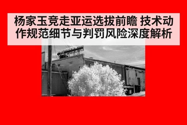 杨家玉竞走亚运选拔前瞻 技术动作规范细节与判罚风险深度解析