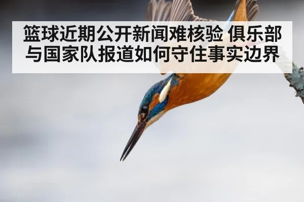 篮球近期公开新闻难核验 俱乐部与国家队报道如何守住事实边界
